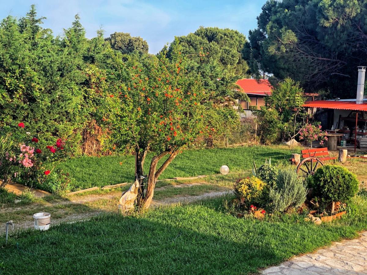 Ivonnis Garden Villa Mesimvria  Екстериор снимка