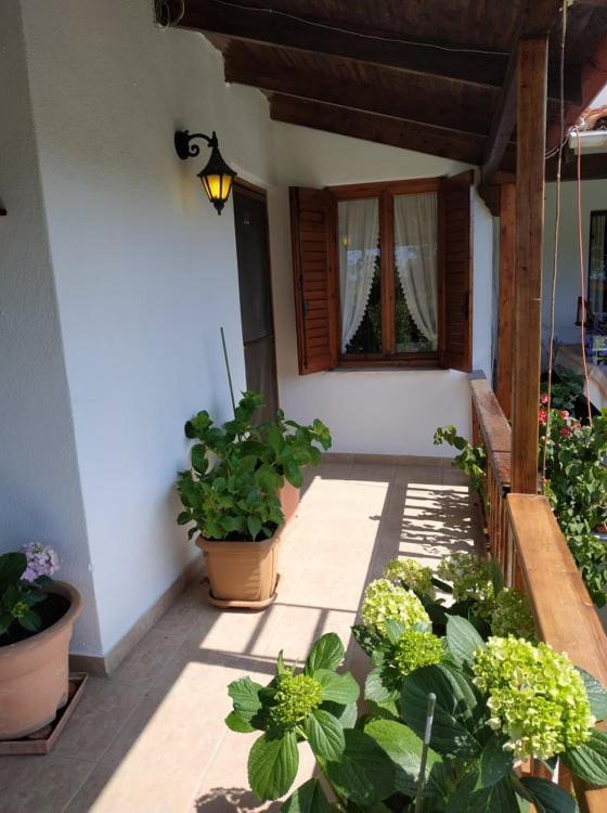 Ivonnis Garden Villa Mesimvria  Екстериор снимка