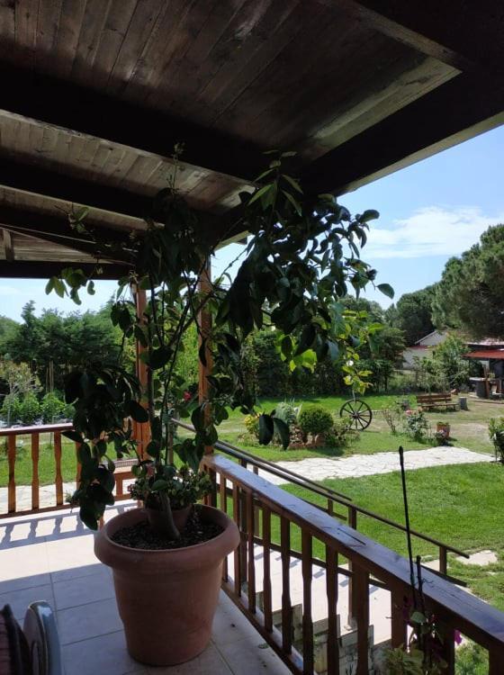 Ivonnis Garden Villa Mesimvria  Екстериор снимка