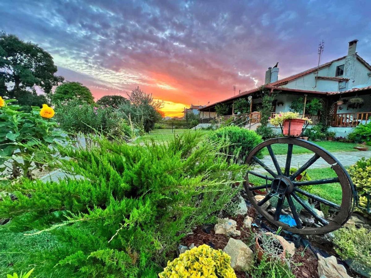 Ivonnis Garden Villa Mesimvria  Екстериор снимка