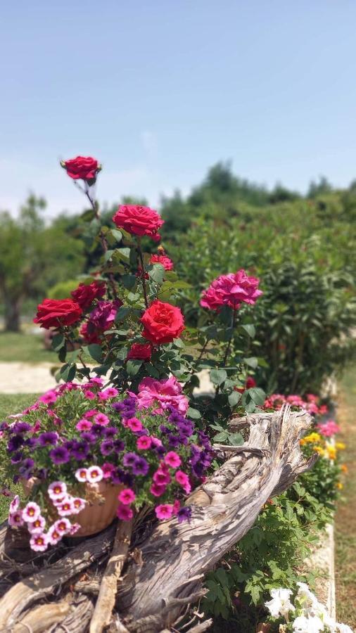 Ivonnis Garden Villa Mesimvria  Екстериор снимка