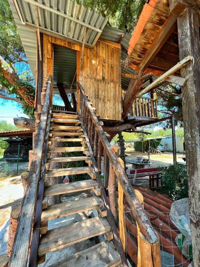 Ivonnis Garden Villa Mesimvria  Екстериор снимка