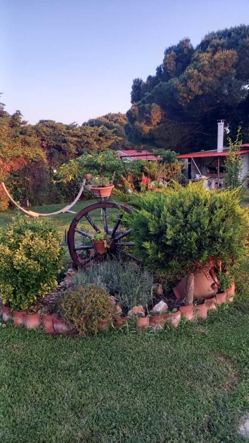Ivonnis Garden Villa Mesimvria  Екстериор снимка